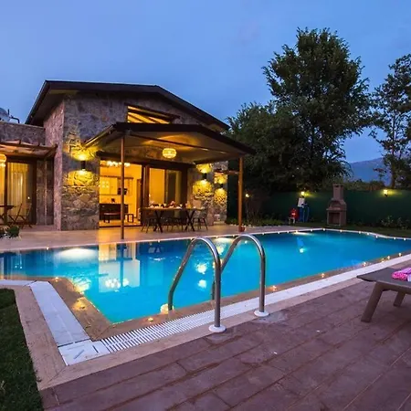 别墅 Luxury With Private Pool And Stunning Garden 费特希耶
