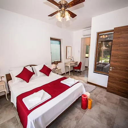 别墅 Luxury With Private Pool And Stunning Garden 费特希耶
